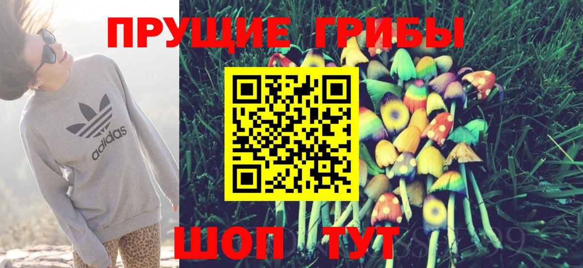 Галлюциногенные грибы ЛСД Всеволожск