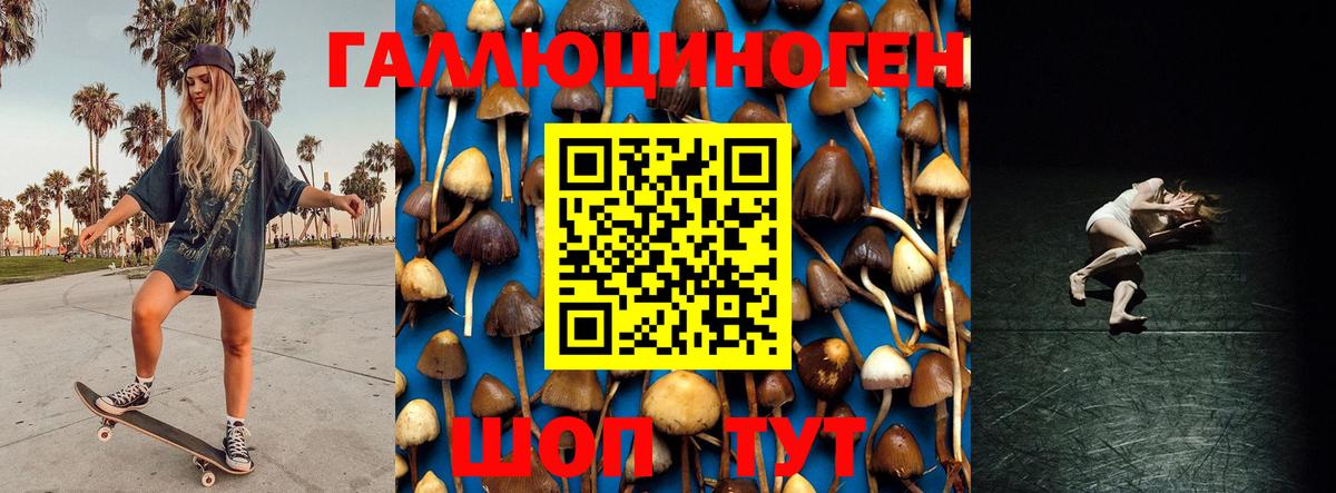 Галлюциногенные грибы ЛСД  Псилоцибиновые грибы прущие грибы  Всеволожск  Вход с VPN 